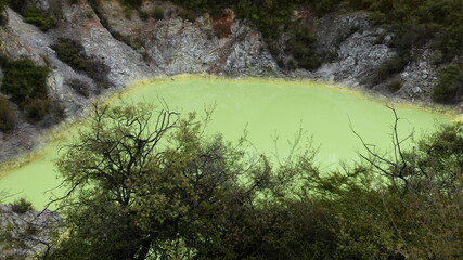 New-Zealand