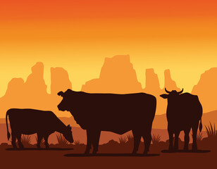 Fototapeta na wymiar cows animals farms silhouettes in the landscape