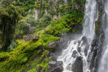 waterfall in the forest