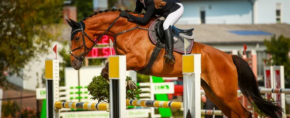 Küchenrückwand glas motiv Horse, jumping horse jumping with rider during a tournament.. © RD-Fotografie