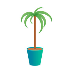 A flower in a pot. Indoor plant. A potted palm tree. Wood for the house. An ornamental plant.