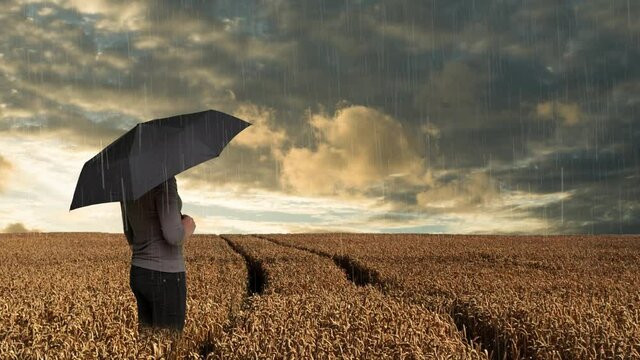 Frau mit Regenschirm steht im Weizenfeld und beobachtet den Himmel