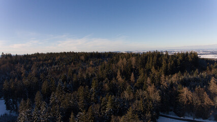 Sicht &uuml;ber den Wald