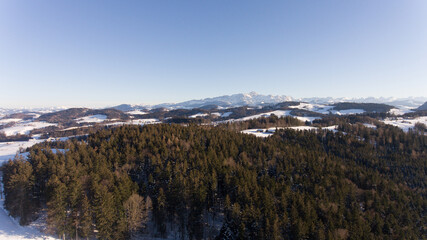 Verschneiter Berg hinter dem Wald