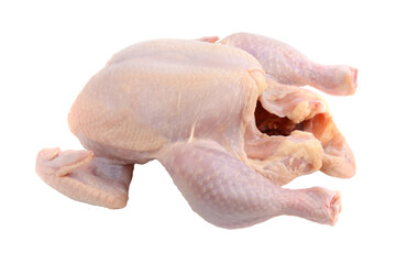 Fresh raw chicken or broiler chicken. Isolated on a white background. Clipping path.