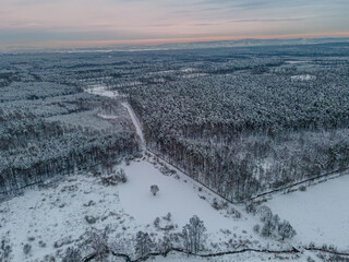 Fototapeta na wymiar drone footage of snowy forest in winter