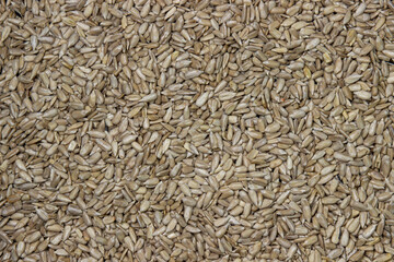 Peeled seeds in full screen. Sunflower seeds. seeds without husk