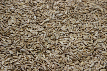 Peeled seeds in full screen. Sunflower seeds. seeds without husk