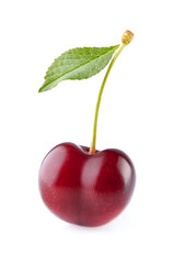 One sweet cherry with leaf