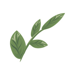 Fototapeta premium branch with ecology leafs plants green nature icons