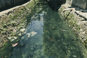 Water pollution of the Philippines.