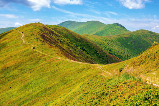 path through borzhava ridge. beautiful summer nature landscape of carpathian mountain. green hillside meadows beneath a blue sky with clouds. stoj peak in the distance