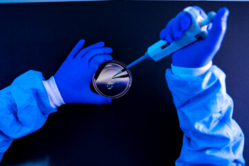 Overhead view of a scientist pipetting a drop of fluid into a petri dish in a laboratory with a...