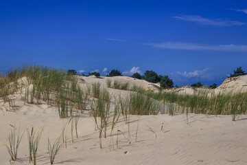 dunes by the baltic sea