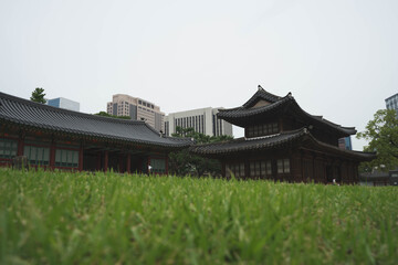 garden of Deoksugung Palace in Seoul