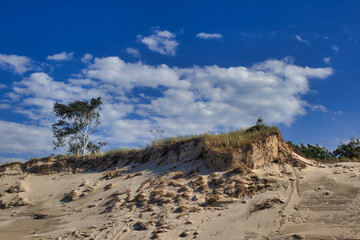 dunes by the baltic sea