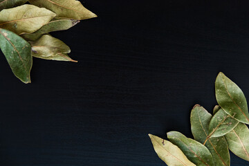 Laurel leafs on a black wood background