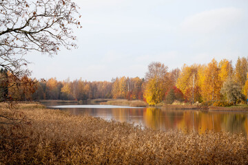 Beautiful colorful misty autumn view of Porvooonjoki river and golden forest, leaves, trees reflected in the water, in the background in the old small town of Porvoo, Finland