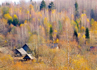 OLYMPUS DIGITAL CAMERA
Октябрь