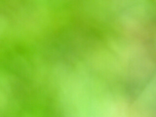 Green Blurred Structures As A Background Color, Full Frame