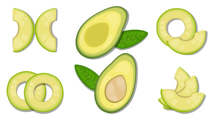 vector illustration close up top view of fresh ingredient sliced. 