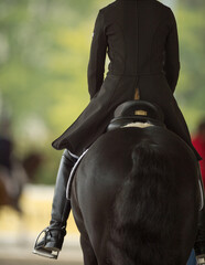 Dressage Horse rider from behind dressed in dressage apparel attire black jacket with tails tall...
