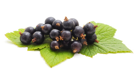 Currants with leaves.