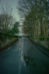 Ancient Stone Wall in Irish Countryside