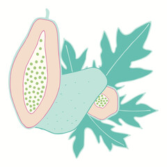Green and pink papaya illustration.
