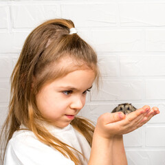 A cute little girl in a white T-shirt holds a Dzungarian hamster in her arms