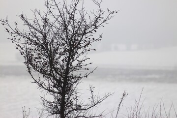 Winter Hiking Along Seym Regional Landscape Park
