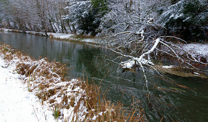 scenic winter along a river with snow covered banks and a fallen tree part submerged in the flow