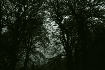Irish Countryside Dull Winter Landscape