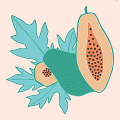 Green and orange papaya illustration.