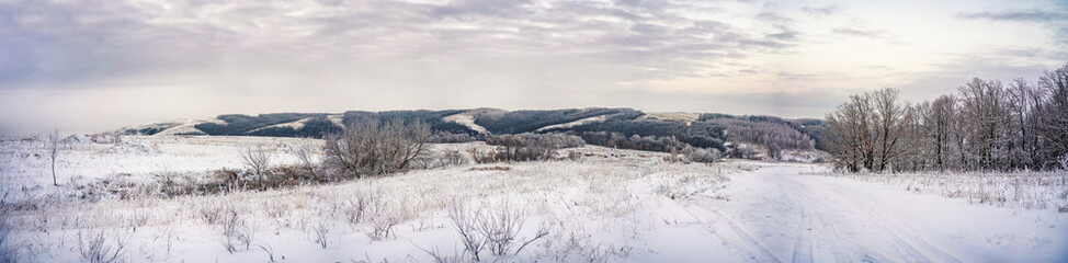 Fototapeta na wymiar winter panorama - a landscape of snow fields, forests and roads on the horizon against the sky