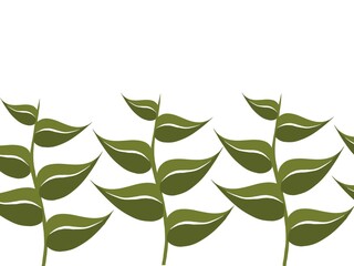 Row of plants illustration, original from artist