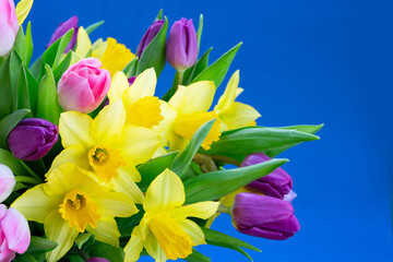Obraz na płótnie Canvas tulips and daffodils flowers