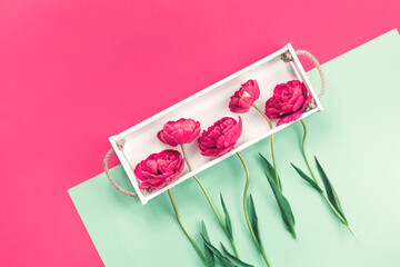 Bouquet of fresh pink tulips in bloom in white box. Flat lay with copy space, Valentines 8 March Women's or Mother Day celebration greeting card or banner. Gift card or invitation. Spring