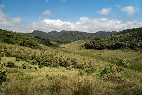 Blick auf gr&uuml;ne Wiesen im Horton Plains National Park im Hochland von Sri Lanka bei sonnigem Wetter