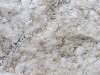 Natural stone,natural stone structure on the cut, streaked with roots of plants, texture for backgrounds,close-up.