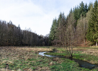 A hike through the forest in the Westerwald in winter