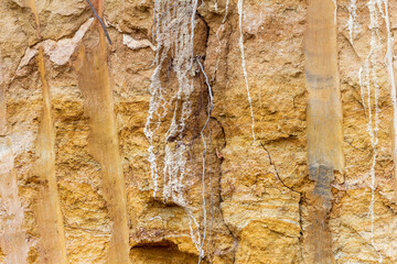Natural stone,natural stone structure on the cut, streaked with roots of plants, texture for backgrounds,close-up.