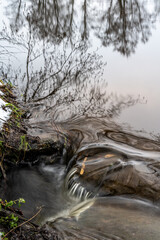 Water reflections of trees in a river. Picture from Eslov, southern Sweden
