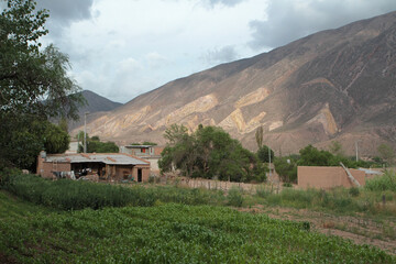 Rural life landscape. Agriculture. View of the farm, rustic holding and crop plantation at the foot of the mountains. 