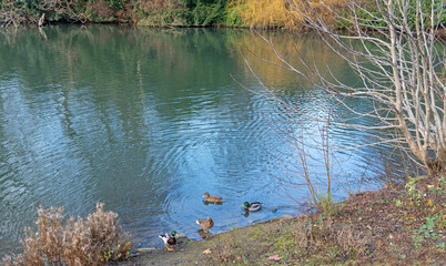 Hofgarten in Düsseldorf