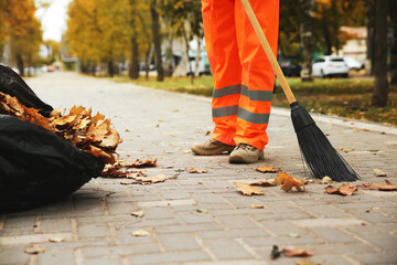 Street cleaner sweeping fallen leaves outdoors on autumn day, closeup