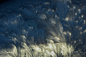 Frost ice on glass