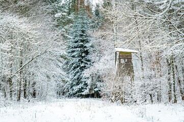 Natürlicher Winterwald im Schnee mit Ansitz