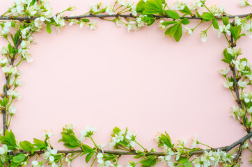 Greeting card background, cherry flowers in the form of a frame on a pink background with copy space