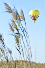Hot air balloon crossing a natural park of reed